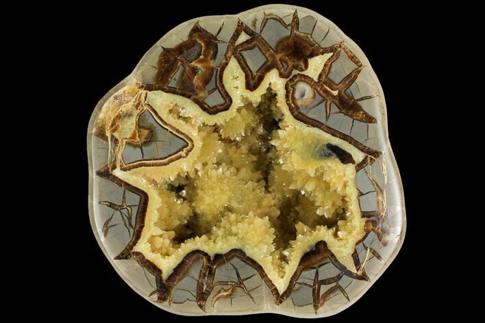 Polished, Yellow Crystal Filled Septarian Geode - Utah #112115